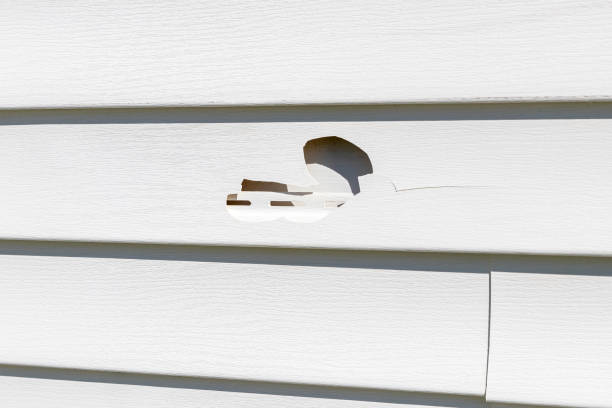 Best Siding Repair  in Boothwyn, PA